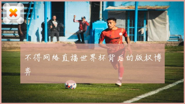 不得网络直播世界杯背后的版权博弈